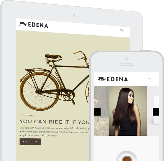 EDENA Premium Website template